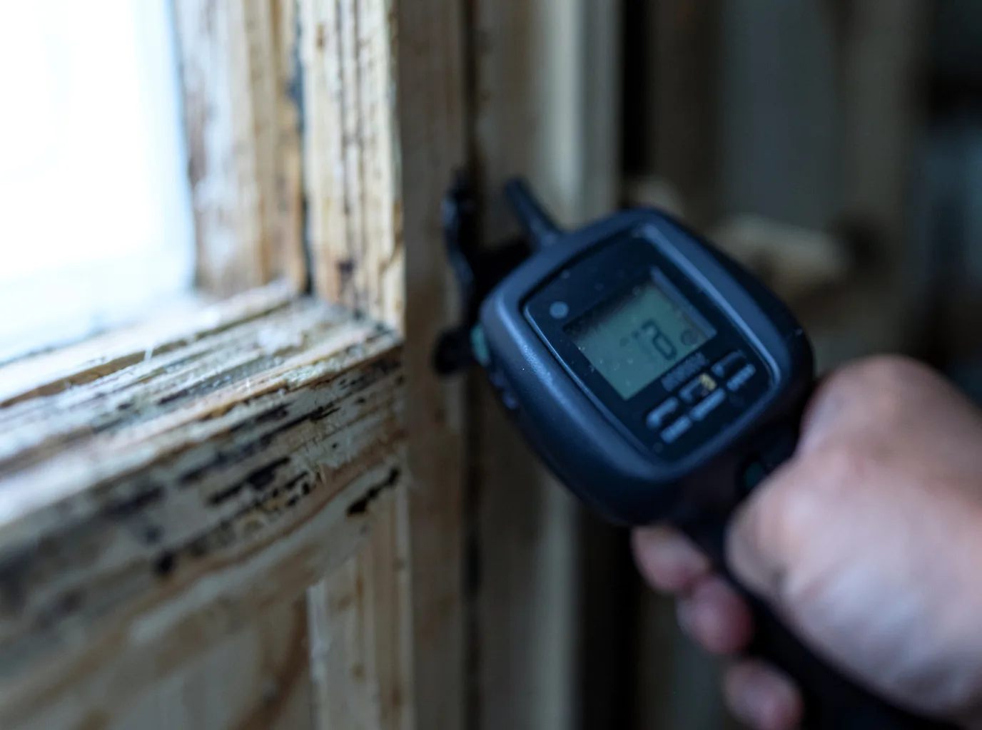 Moisture Inspection And Documentation in Cosby, TN